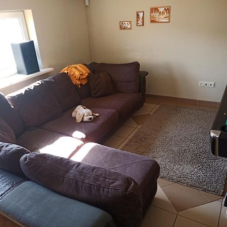 Vilnius Cat Friendly Lejlighed Eksteriør billede